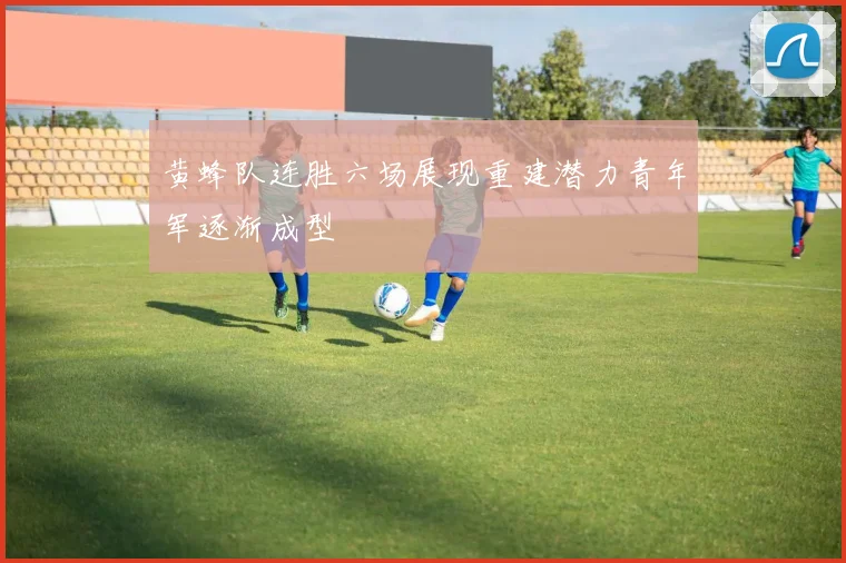 黄蜂队连胜六场展现重建潜力青年军逐渐成型